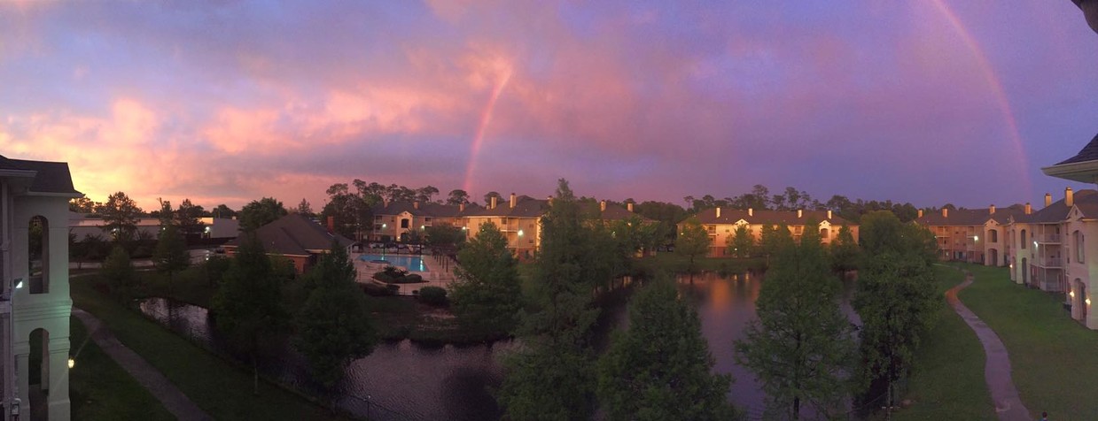 Cypress under the Rainbow